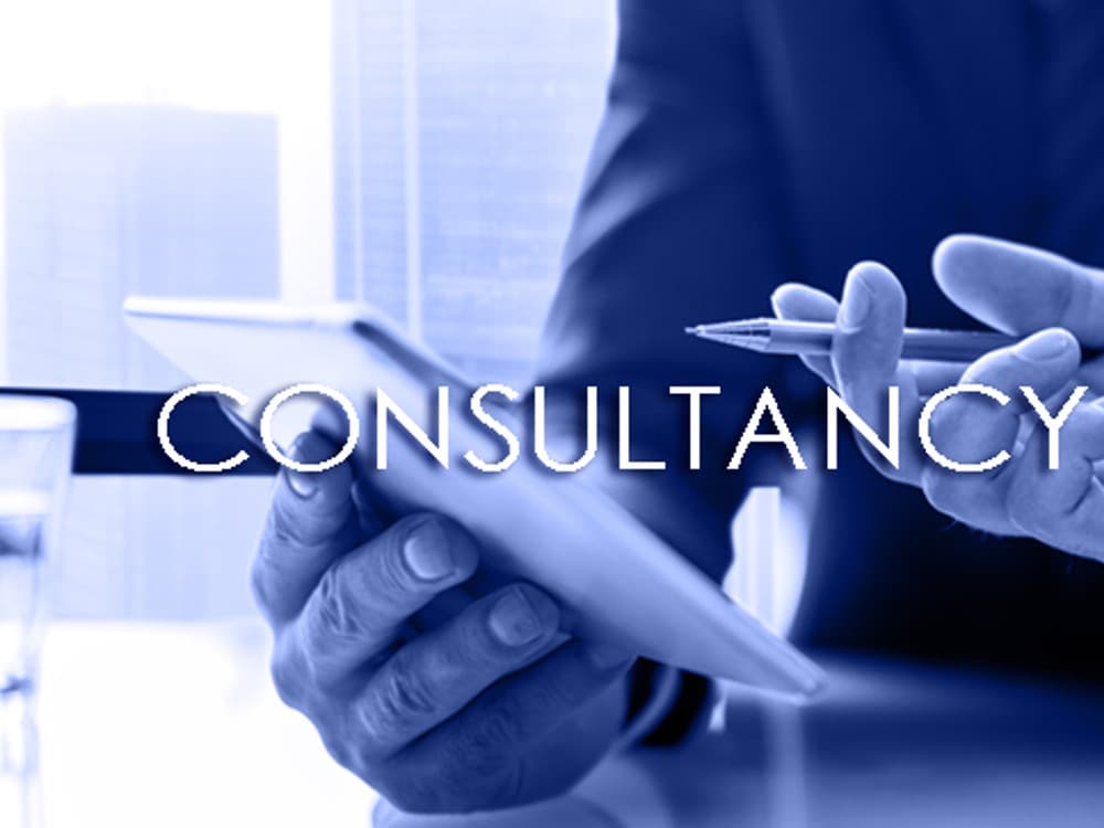 Business Consultancy services